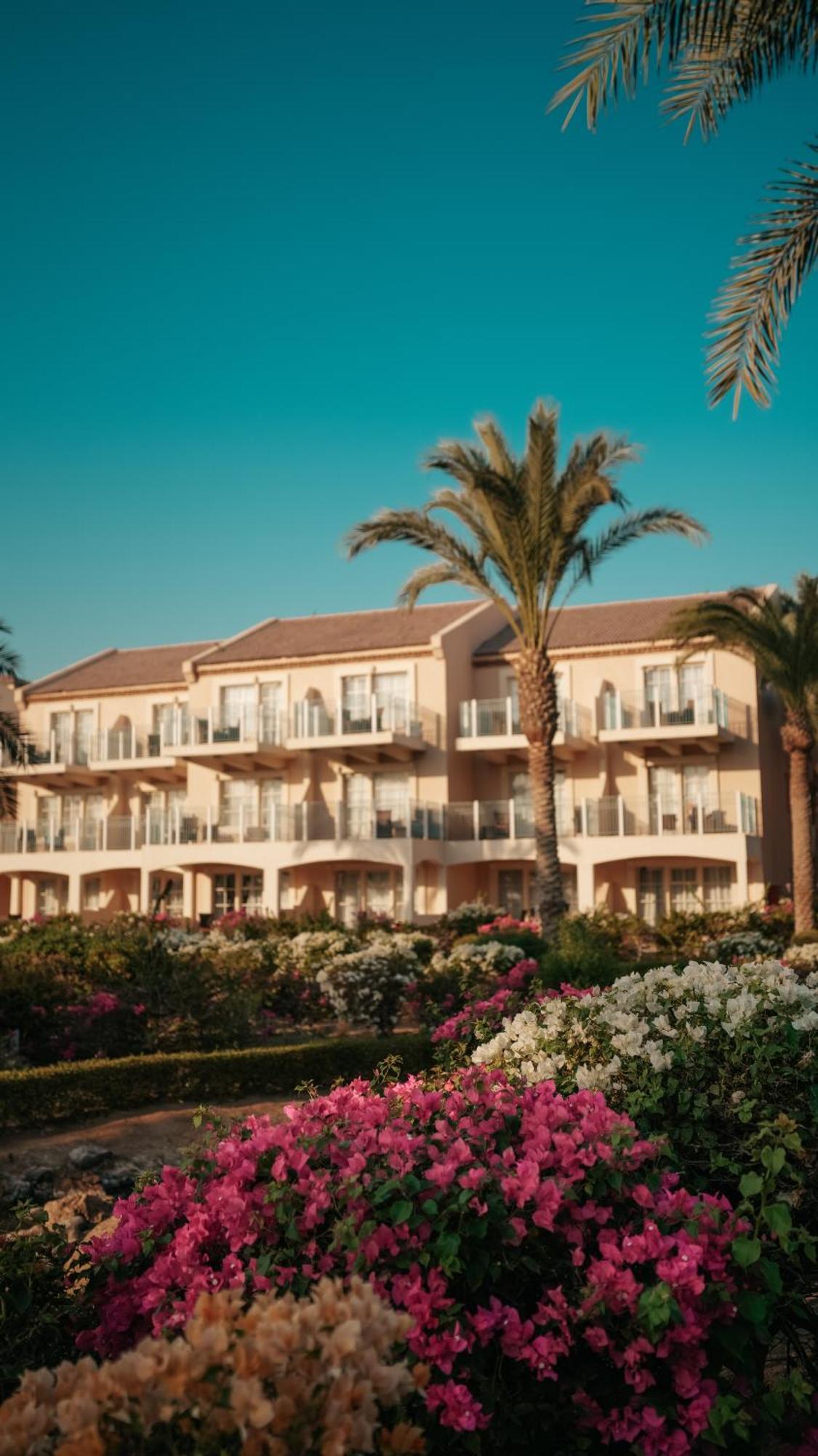 Movenpick & El Gouna Complex 5*